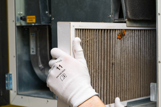 Best Local Air Duct Cleaning Services  in Trafalgar, IN