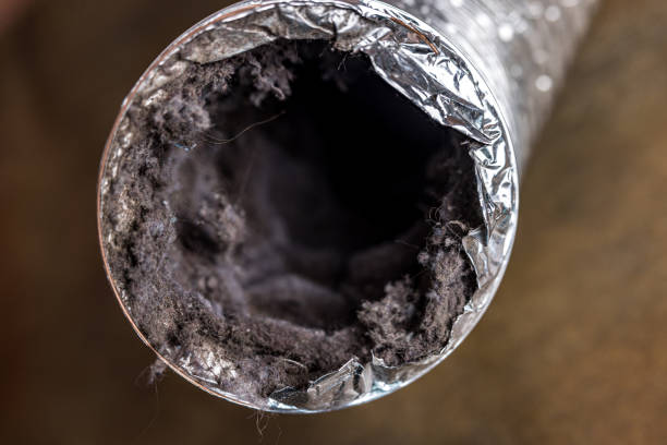 Best Affordable Air Duct Cleaning  in Trafalgar, IN