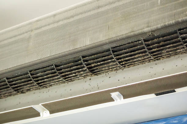 Best Best Air Duct Cleaning Company  in Trafalgar, IN
